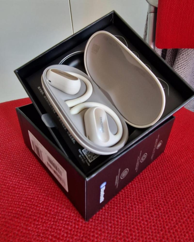 1MORE Fit SE Open Earbuds S30 - Customer Photo From chris coletti